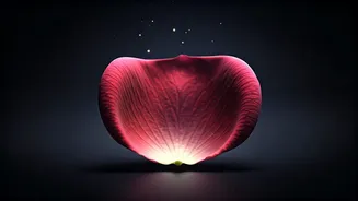 Unlock Your Radiance: Nighttime Skincare Secrets for Repair, Glow & Anti-Ageing
