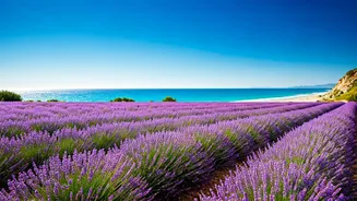 Travel Creators Know Where June Looks Best