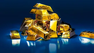 Why Low-Fee Gold ETFs Outperform Digital Gold For Disciplined Monthly Investors