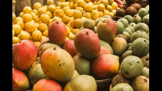 ‘Factually Incorrect, Misleading’: Government Dismisses Report Of Nepal Banning Indian Mangoes