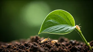 Related Stories banner
