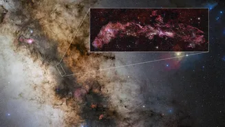 New Telescope Image Reveals Detailed View of Milky Way's Core