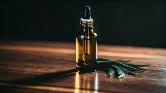 5 Essential Beard Oils for a Virat Kohli-Level Beard: Tame Your Mane!