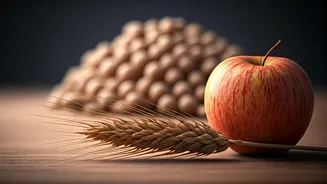 Protein Hype Meets Fibre’s Quiet Comeback