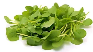 Watercress: A leafy green your diet is missing
