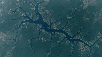 Satellite Telemetry Monitoring In Sundarbans Tracks Land Loss And High-Tide Flood Hazards