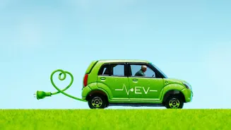 Agricultural Waste Transformed Into Plant Based Non Flammable Electrolytes For Safe EV Batteries