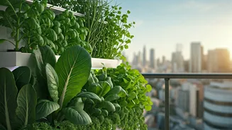 Vertical Farming Systems Show Up In Posh South Delhi Balconies