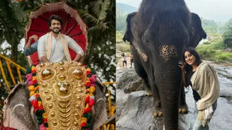 Kalidas Jayaram Calls This Sidharth Malhotra, Janhvi Kapoor Hindi Film ‘The Worst’ He’s Ever Watched – Here’s Why