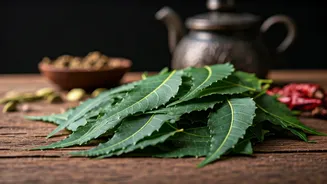 Unlocking African Flavors: 5 Delicious Ways to Cook with Fresh Neem Leaves