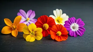 Beyond Roses: Unveiling 7 Exotic Edible Flowers in Indian Cuisine