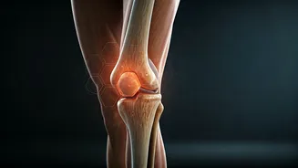 Build Bulletproof Joints Using Advanced Modern Functional Fitness Routines