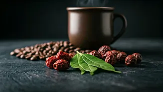 Caffeine Choices Just Got More Interesting