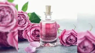 Rose water benefits: 7 Easy ways to refresh skin, hair and sleep routine naturally
