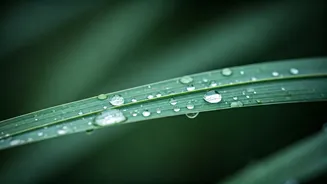 Dermatologists Share Easy Skincare Routines For Monsoon Humidity