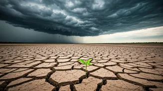Why monsoon rain fails to refill water