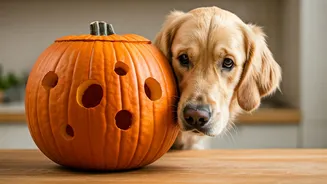 Conscientious Dog Lovers Rely On DIY Pumpkin Enrichment Models