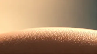 Why Skin Barrier Care Is Replacing Harsh Routines