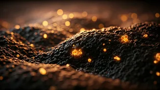 Climate Change Reshapes Soil Microbes: Unveiling the Hidden World Beneath Our Feet