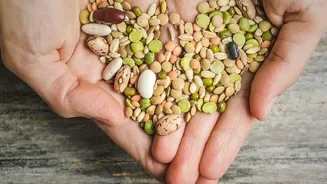Pulses and Soy May Fit a Heart-Healthy Pattern without Replacing Medical Care