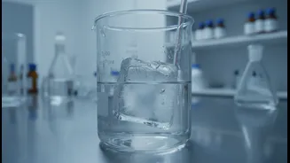 Why Urban Food Outlets Face Stricter Water Checks Despite Serving Visually Spotless Ice Supplies