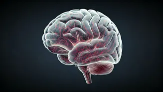 Anxiety Disorder and Inaccurate Fears: Insights