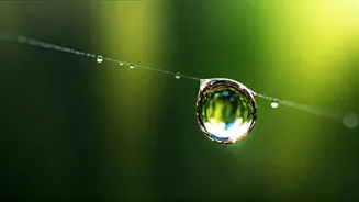 The Power of Tiny: Swami Sivananda's Wisdom on Life's Small Details