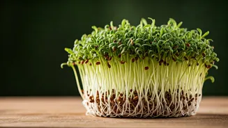 This Sprouts Trick Is Winning Nutrition Fans