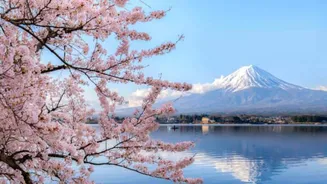 Meditation in Japan: 5 peaceful islands to explore