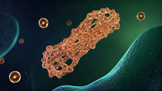 Unlock Radiant Skin & Stronger Hair: The 5 Powerful Benefits of Collagen Revealed