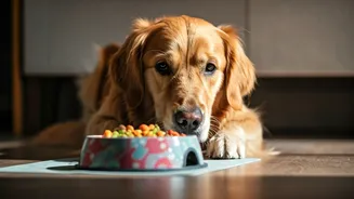 Transform Mealtime: Strengthening Your Pet Bond Through Intentional Feeding Habits