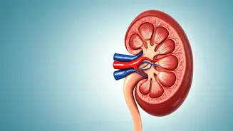 5 Kidney Threats: Cardiologist's Warning