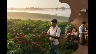International Coffee Day 2026: How India’s Coffee Story Is Brewing