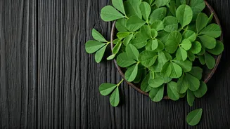 Methi Is The Leafy Upgrade Your Kitchen Needs