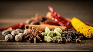 A Culinary Exploration of Indian Spices