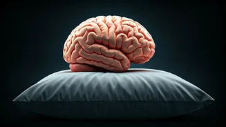 Sleep and Your Body: A 6-Month Experiment