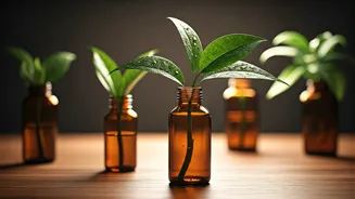 Amber Glass Bottle Propagation Is The Hottest Desk Trend