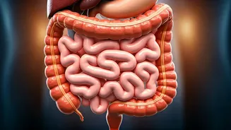 Decoding Flatulence: What's Normal & Why It Matters