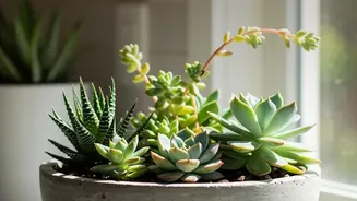 The New Small-Space Gardening Trend Brings New Attention To Windowsills As Growing Areas