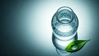 Related Stories banner