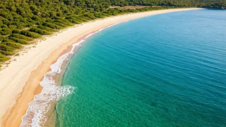 India's 7 Pristine Blue Flag Beaches: Cleanliness Champions on the Global Stage