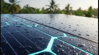 Why Scientists Are Designing Solar Sheets For India's Rainy Season
