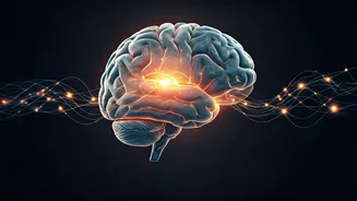 Diabetes and Dementia: Uncovering the Surprising Link & Identifying High-Risk Individuals