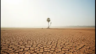 How Goa's Weak Monsoon Spell Affects Goa Travellers, Residents and Tourism Businesses in Practice