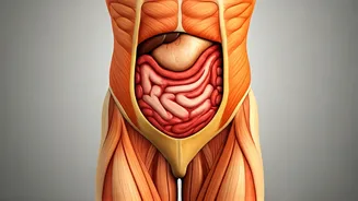 Related Stories banner