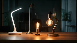 Discover Your Workplace Persona: The Lamp Test for Coworker Styles