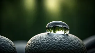 6 Japanese Wisdoms to Quiet Your Overthinking Mind: Embrace Calm & Presence