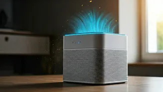 Clean Air at Home After Diwali Celebrations
