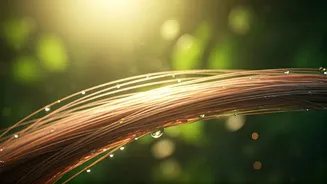 Related Stories banner