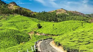 Scenic Road Trips From Bangalore To Agumbe Offer Stunning Rainforest Photo Locations